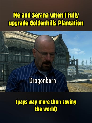 #gaming #gamingmeme #skyrim #skyrimmeme | skyrim