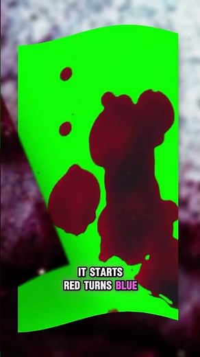 Why Your Bruises Change Colors healing process fact #bruises #science