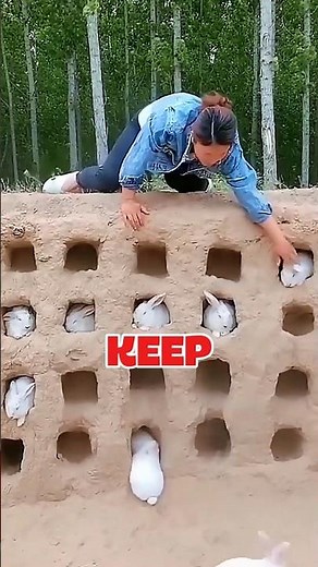 China’s Unique Rabbit Farming Secrets 🐇🔥 | Amazing Method You’ve Never Seen!