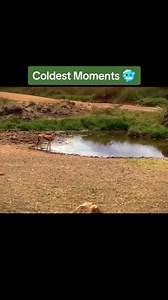 2.1K views | Too cold | Dear Radio | Facebook