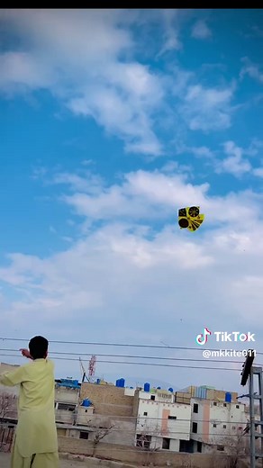 Discover Amazing Kite Designs