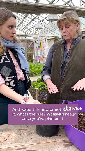 Potting Up Dahlias: Tips for Growing Beautiful Blooms