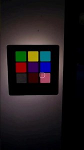 Poppy Playtime Color Code #genie #poppyplaytime #huggywuggy