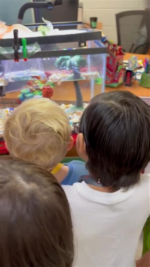 New fish 🐟 friends in Mrs. Kennedy’s VPK at PWE! | Martin County Pre-K Programs