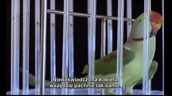 1994 The Cloud Door Thumazeniee Pl Napisy FULL HOT MOVIE