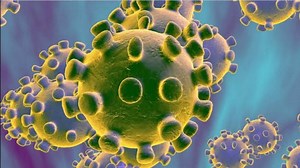 Coronavirus Essay | कोरोना वायरस पर हिन्दी में निबंध