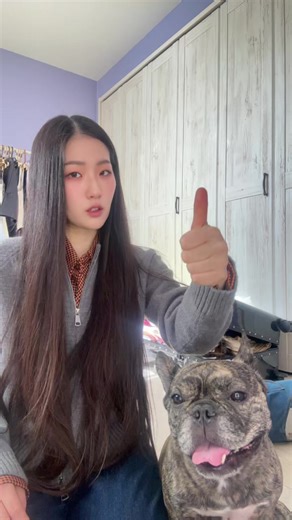 Understanding Your French Bulldog's Behavior