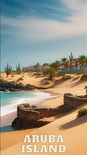 Aruba Like You’ve Never Seen: Desert, Wildlife & Turquoise Seas! #travel #facts #wildlife #beach