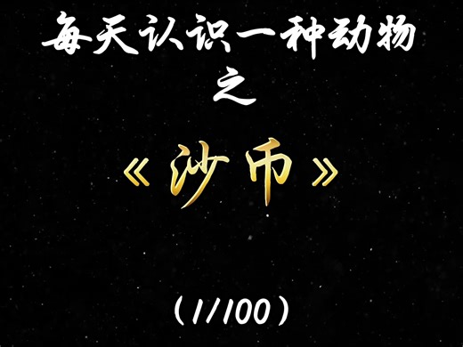 一种生活在海洋中的奇异生物