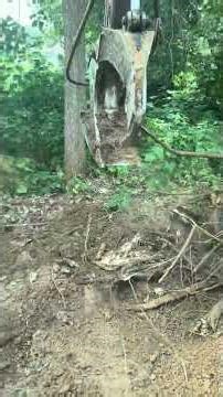 Most Satisfying 🥰 Excavator Stump Tree Removal 🌳🚜 | Ep 91 #Shorts