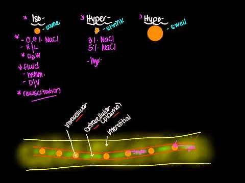 IV fluid tonicity: Isotonic solutions, Hypotonic solutions, and Hypertonic solutions