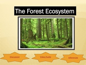 The Forest Ecosystem - SlideServe