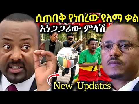 ለማ መገርሳ ዝምታቸውን...?