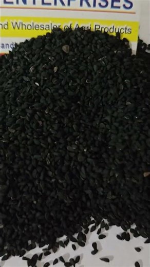 Black Cumin Seeds | Available on IndiaMART