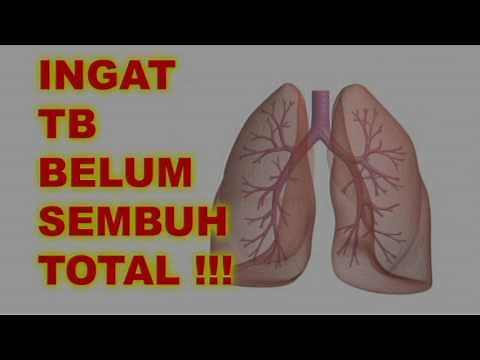 Video Animasi 3D Penyuluhan dan Pencegahan Penyakit Tuberculosis (TB)