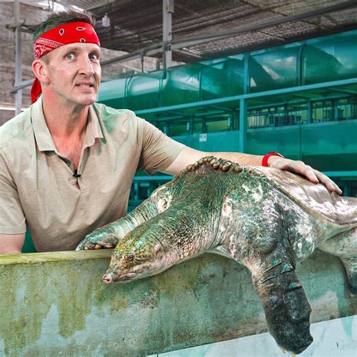 Inside Vietnam’s Exclusive Exotic Animal Restaurants! 😳 | Best Ever Food Review Show