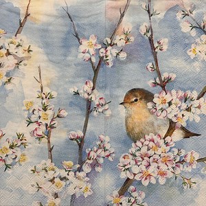 Decoupage Paper Napkin With Birds and Cherry Blossoms for Spring Crafts, Thin Tissue for DIY Decoration, Scrapbooking, Card Making 16'' 1PCS - Etsy
