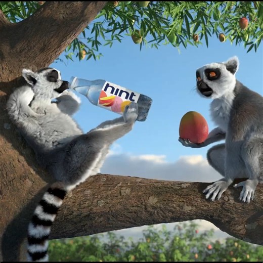 1K views · 49 reactions | “This Mango Hint Water tastes just like mango!” 省 Listen to fruit experts Larry & Lenny and try it for yourself while it's ON SALE now for a limited time. #HintWater #TheHintLemurs Shop: www.drinkhint.com/pages/mango-bundle-special-offer?utm_medium=social&utm_source=facebook&utm_campaign=mango-bundle-special-offer-year2022&utm_type=or-hint | Hint | Facebook