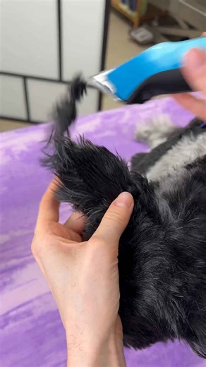 This grooming session was soo relaxing 😌