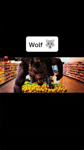 Savage Wolf Attack 🐺🔥 | Nature’s Most Fearless Predator in Action!”