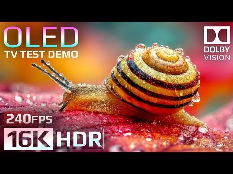 16K HDR 240fps OLED Test Demo | Ultimate Dolby Vision™ Experience