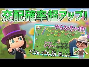 【最新】花の交配し放題！？超簡単なやり方を解説！【あつまれ どうぶつの森】