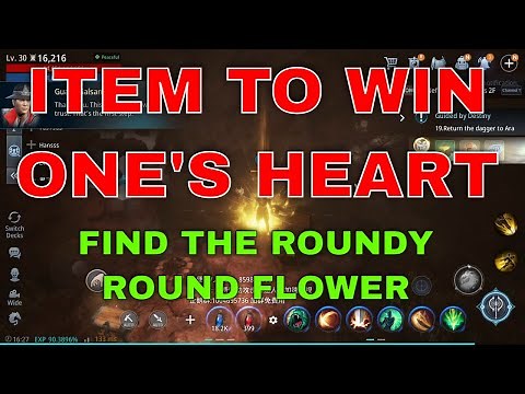 Mir4 Request Quest Clue: Item to Win One's Heart Find the Roundy Round Flower Bicheon Castle