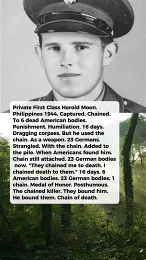 They Chained Him to 6 Dead Bodies for 16 Days. When Found, the Chain Was Around 23 Dead Germans