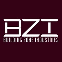 BZI | LinkedIn