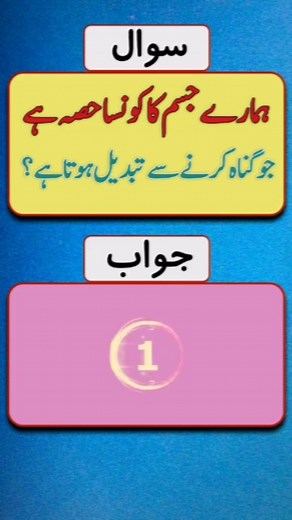 islamic quiz #quiz #quiztime #islamic #islamicquiz #braintest #mcqs #doyouknow #trivia #triviachallengeuees | Mian Yousaf