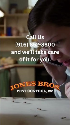 Best Pest Control in Sacramento