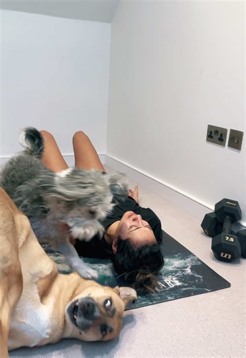 Calm Workout with Rescued Tripawd Dogs