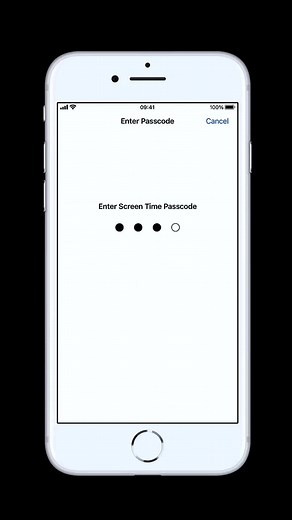 How to Reset Your iPhone Screen Time Password Easily