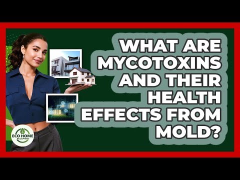 What Are Mycotoxins And Their Health Effects From Mold? - Eco Home Blueprint