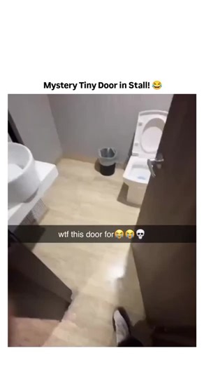 CROSSERA CLIPS on Instagram: "This hilarious viral meme video from @nocontextmemes shows a standard public restroom stall with a bizarre twist: a small, low door (or panel) built into the bottom of the main door, just above floor level—wide enough for... something questionable. The clip pans to highlight this odd feature, sparking instant chaos in replies: people joke it's a "suicide door" for dramatic exits, an emergency air vent after a nuclear bathroom bomb, a secret escape hatch to avoid clo