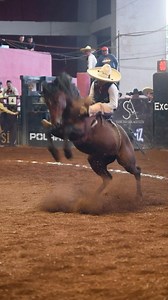 259K views · 8.5K reactions | La jineteada de Hierro Santo que hizo explotar el Cuna de la Charrería  El encargado: Marco Gallegos #SemifinalesDeExcelencia | Circuito Excelencia Charra | Facebook