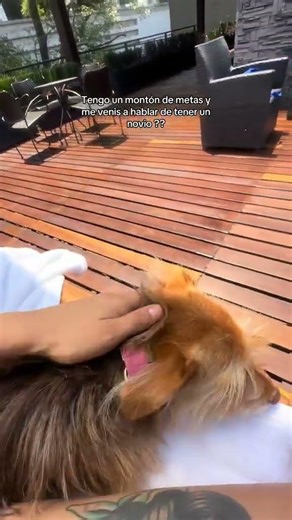 Ig: aylinlopeztorresfx #trading #negocio #viral #crecimientopersonal #homeoffice