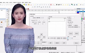 八思量SeaCAD5.2软件展轴应用大图分割移动标刻功能