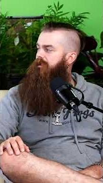 Tree Frog Breeding Tips