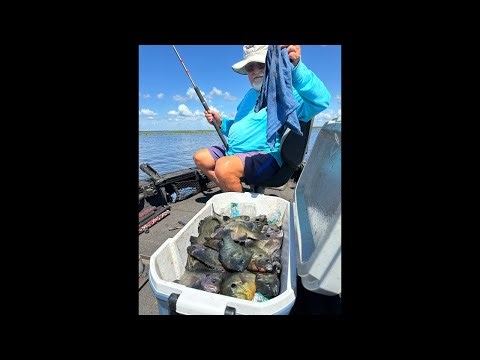Shellcracker Fishing on Lake Kissimmee