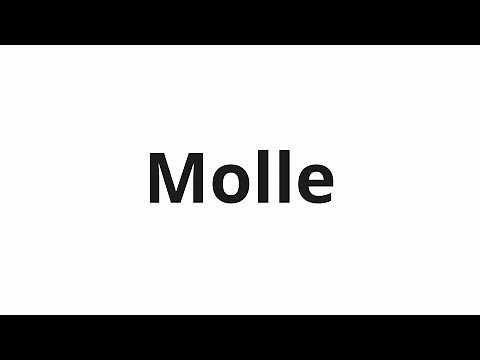 How to pronounce Molle