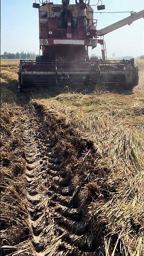 Watch This Paddy-Cutting Machine in Action