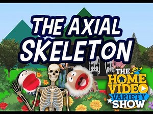 Cycle 3 Week 2 Science: The Axial Skeleton