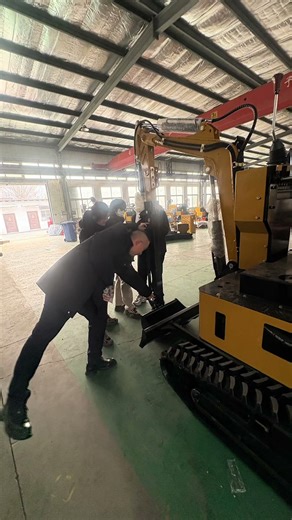 Mini excavator with multiple functions