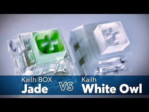 Kailh BOX Jade VS Kailh White Owl Sound Test | Battle of the Titans!