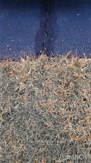 Happy Halloween! 🎃 P.S. It’s ALIVE! ⚡️ The 2026 Toyota Prius is here — sleek, smart, and ready to thrill. 👀🚗💨 Visit www.JosephAirportToyota.com to see more! #ItsAlive #ToyotaPrius #JosephAirportToyota #HybridPower #HalloweenVibes | Joseph Airport Toyota