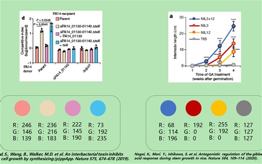 【研究生】和SCI顶刊学科研绘图配色（附RGB数值）第一期