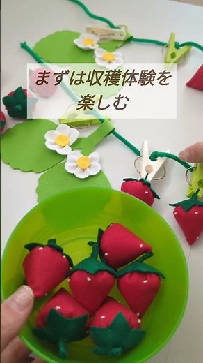 収穫して終わり、じゃない。採る → 運ぶ → 並べる → 食べるまね遊びが自然につながる。体験＋ごっこ遊びだから長く楽しめる🌱 #子どもの発達 #ハンドメイド #保育士 #子育てに関して