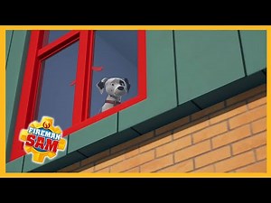 Don't leave Radar behind! 🔥 New Fireman Sam animal compilation