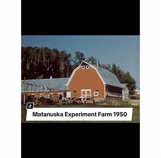Old footage of the Matanuska Experiment Farm, Matanuska Valley, Alaska (1950)
